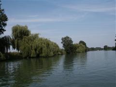 Der Fluss Charente